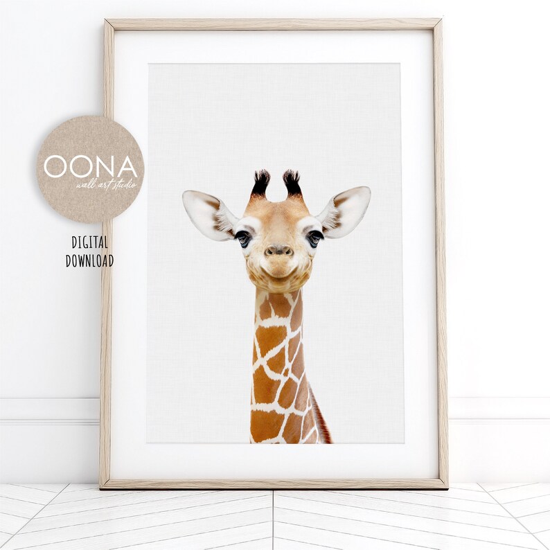 May include: A close-up portrait of a giraffe with a light brown and tan patterned coat. The giraffe has a friendly expression and is looking directly at the camera.