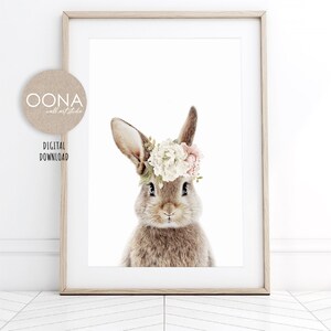 K&ouml;nnte beinhalten: Ein braunes Kaninchen mit einer Blumenkrone aus wei&szlig;en und rosa Bl&uuml;ten. Das Kaninchen schaut direkt in die Kamera. Der Hintergrund ist wei&szlig;.