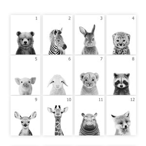 Black and White Nursery Animal Prints PRINTABLE Safari Nursery Prints ...