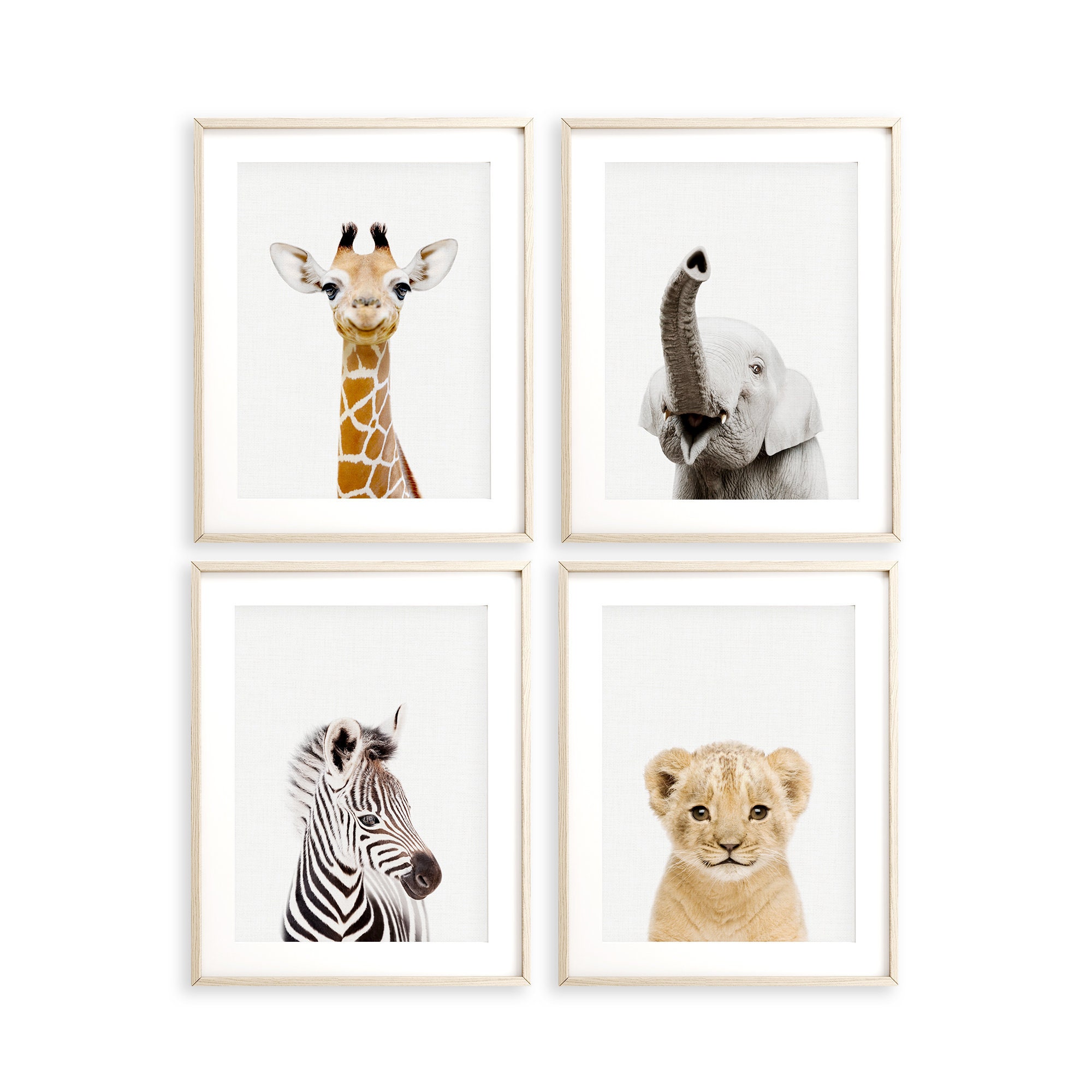 safari animal nursery artwork