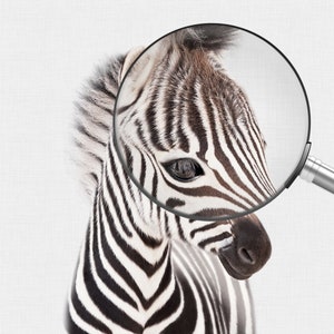 以下が含まれることがあります： 白黒の縞模様のゼブラの顔のクローズアップ。拡大鏡がゼブラの目に置かれ、縞模様のディテールが強調されています。