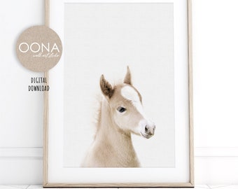 Baby Horse Print Farm Animal Nursery Decor Girl Boy PRINTABLE Farm Wall Art Poster Foal DIGITAL DOWNLOAD