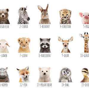 PRINTABLE Baby Animal Prints for Nursery Wall Art, Safari Nursery ...