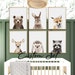 Woodland Nursery Prints Set of 6 Woodland Animal Prints Nursery Animal Print Forest Baby Animals Wall Art Nursery Decor Boy DIGITAL DOWNLOAD