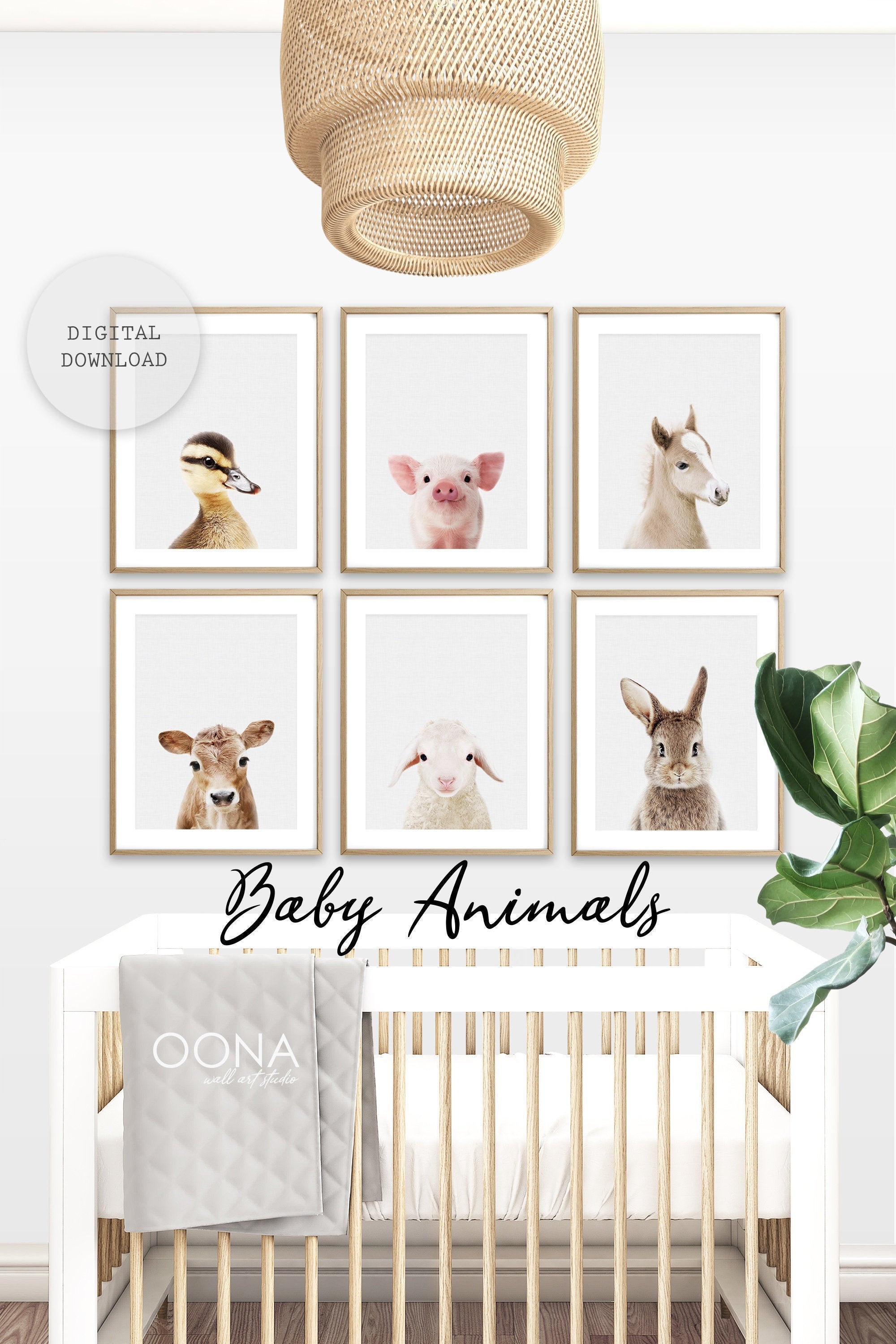 Baby Farm Animal Prints for Farm Nursery Print Set of 6 - Etsy Singapore