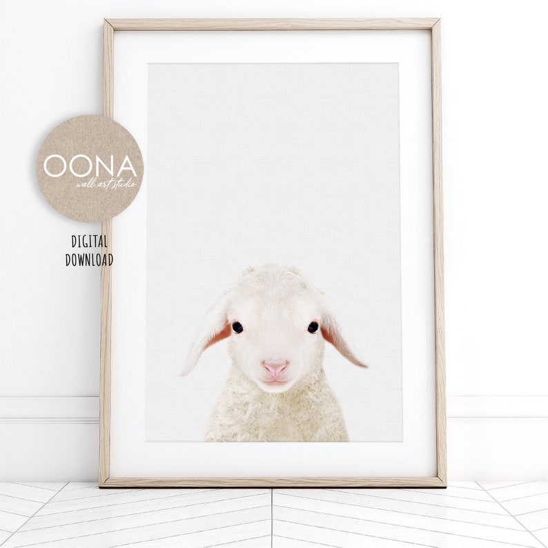 Puede incluir: Una descarga digital de un cordero blanco con pelaje esponjoso, mirando directamente a la c&aacute;mara. La cara del cordero est&aacute; enfocada, con sus ojos, nariz y boca claramente visibles. El fondo es un blanco simple.