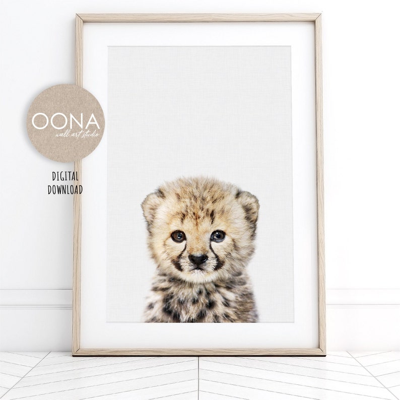 Baby Cheetah Nursery Art Baby Animal Art Nursery Baby Safari Etsy