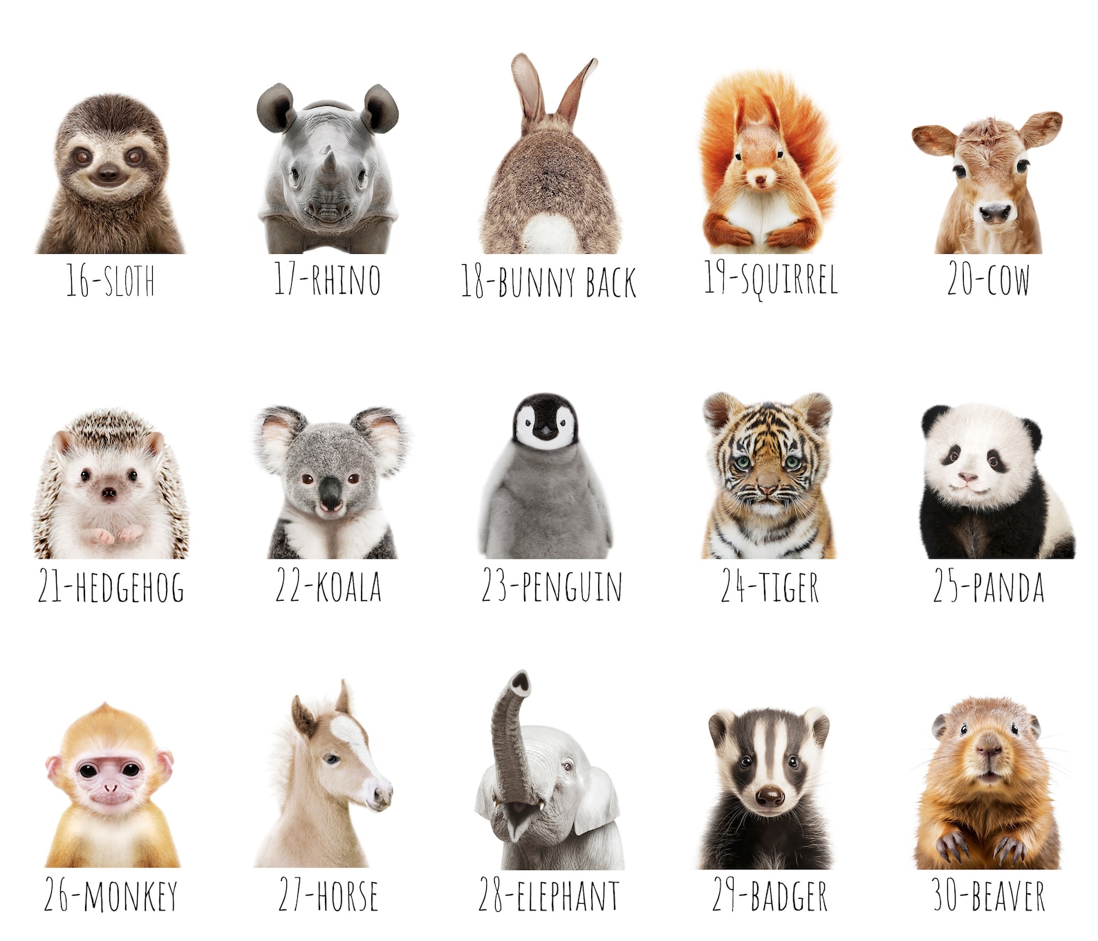 PRINTABLE Baby Animal Prints for Nursery Wall Art, Safari Nursery ...