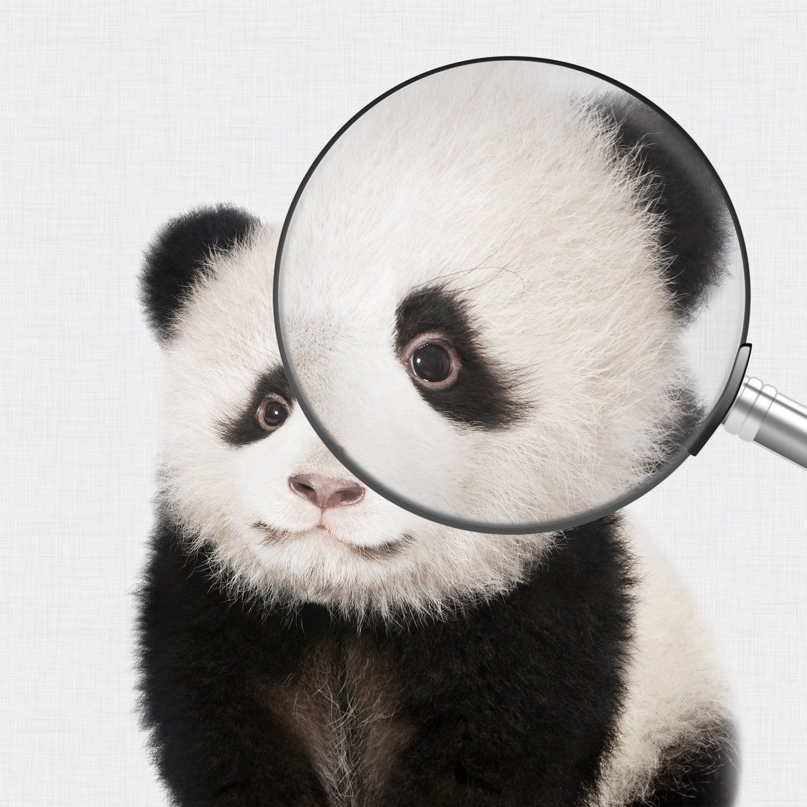 Baby Panda Print Nursery Panda PRINTABLE Panda Wall Art Bear Etsy