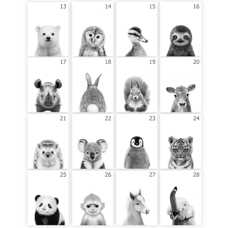 Black and White Nursery Animal Prints PRINTABLE Safari Nursery Etsy