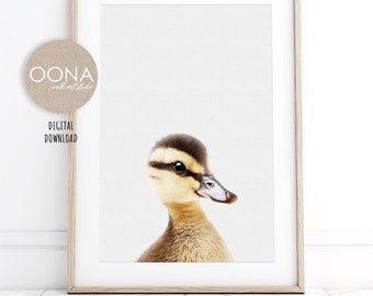Duck Photo Print Farm Animal Nursery Decor PRINTABLE Farmhouse Baby Duck Poster Duckling Potrait DIGITAL DOWNLOAD