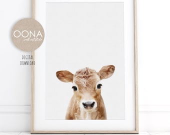 Baby Cow Art Jersey Cow Photo Print PRINTABLE Wall Art Farm Nursery Decor Farmhouse Animal Print For Nursery DIGITAL DOWNLOAD