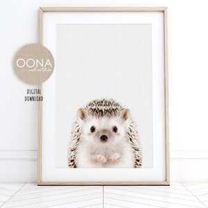 Cute Hedgehog Art Print Baby  Hedgehog PRINTABLE Wall Art Woodland Animal Nursery Decor Boy Girl Forest Animal Poster DIGITAL DOWNLOAD