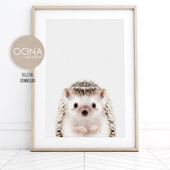 Cute Hedgehog Art Print Baby  Hedgehog PRINTABLE Wall Art Woodland Animal Nursery Decor Boy Girl Forest Animal Poster DIGITAL DOWNLOAD