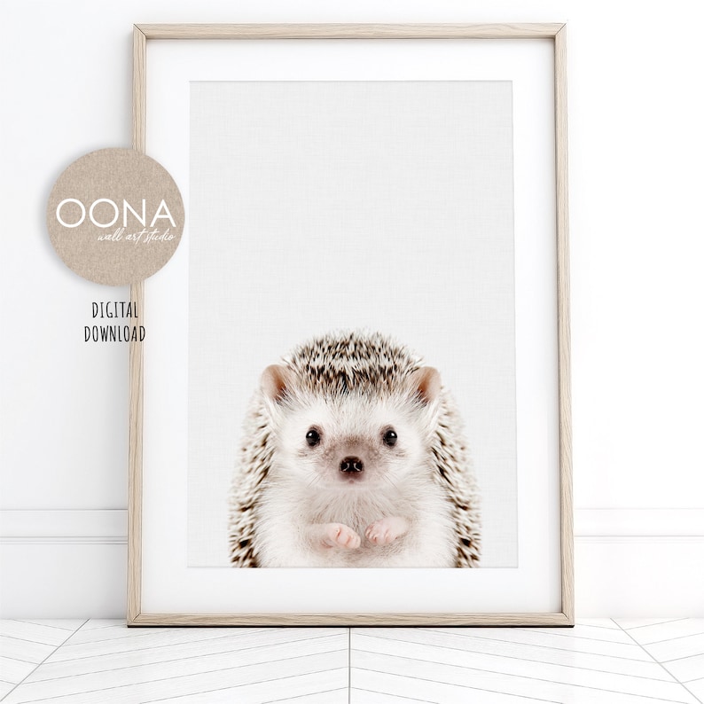 May include: A close-up of a hedgehog with brown and white quills. The hedgehog is looking directly at the camera with its small, black eyes and pink nose. The hedgehog's paws are visible in the front of the image.