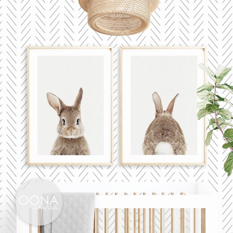 Rabbit prints Bunny Nursery Wall Decor Prints