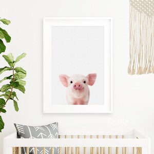 May include: A close-up portrait of a pink piglet with a white snout and pink ears. The piglet is looking directly at the camera with a curious expression.
