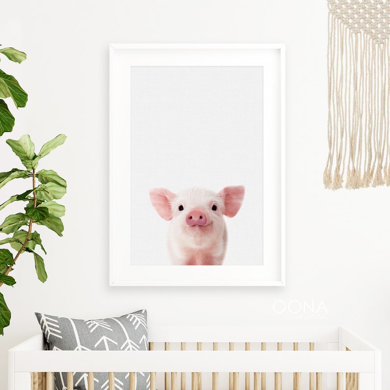 May include: A close-up portrait of a pink piglet with a white snout and pink ears. The piglet is looking directly at the camera with a curious expression.