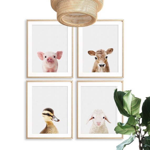 Baby Farm Animal Nursery Prints Set of 4 Farm Nursery Art PRINTABLE Photo Picture Wall Decor DIGITAL DOWNLOAD
