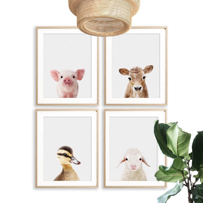 Puede incluir: Un conjunto de cuatro impresiones enmarcadas que presentan retratos de cerca de animales de granja. Las impresiones est&aacute;n en un marco de madera claro y presentan un cerdo, un ternero, un pato y un cordero.