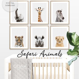 May include: Six framed prints of safari animals, including a giraffe, zebra, elephant, tiger, rhinoceros, and lion cub. The prints are arranged in a grid pattern on a white wall. The word "Safari Animals" is written in black cursive below the prints.