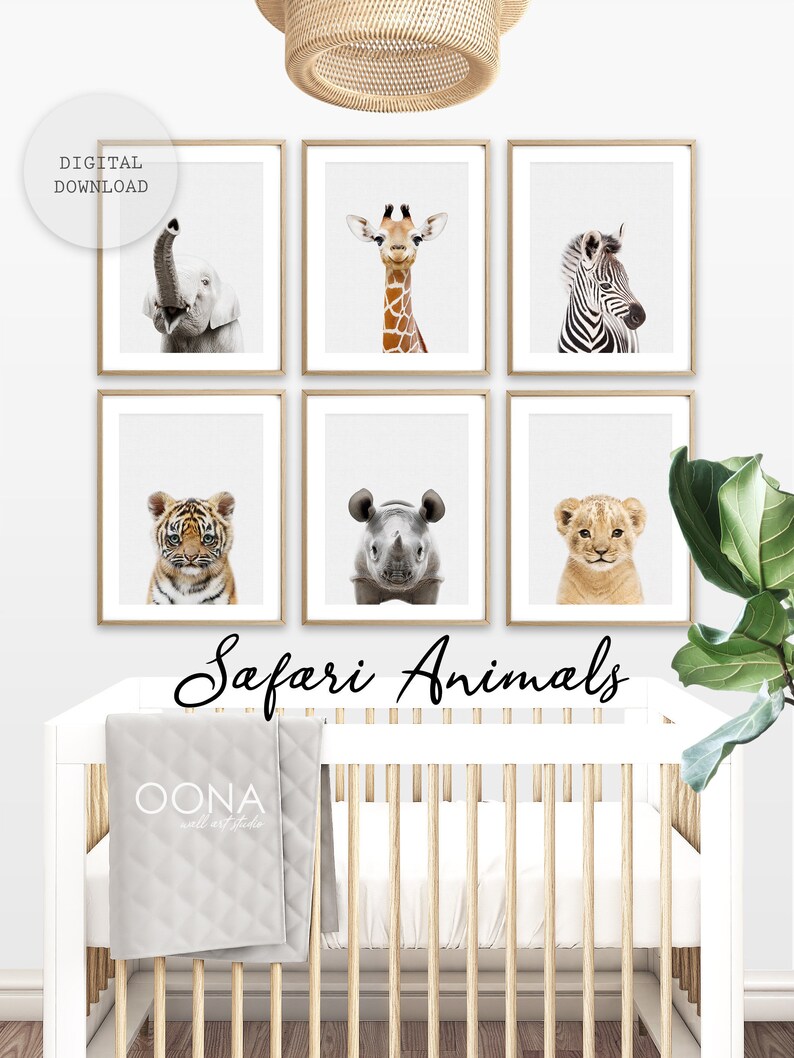 May include: Six framed prints of safari animals, including a giraffe, zebra, elephant, tiger, rhinoceros, and lion cub. The prints are arranged in a grid pattern on a white wall. The word "Safari Animals" is written in black cursive below the prints.