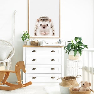 May include: A white dresser with four drawers and gold handles. A wooden rocking horse is in the foreground. A framed print of a hedgehog is on the wall above the dresser. A white changing table is on top of the dresser. A potted plant is on a white wicker stand to the right of the dresser. A wicker basket with a brown and white pattern is on the floor in front of the dresser. A brown teddy bear is sitting in the basket.