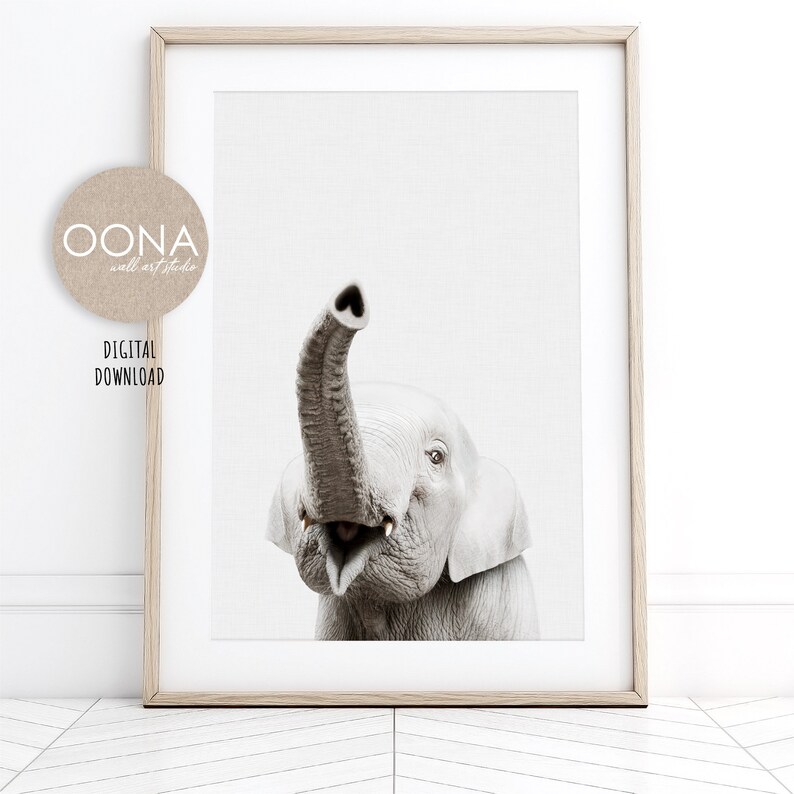 May include: A black and white photograph of an elephant with its trunk raised in the air. The elephant is looking directly at the camera.