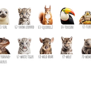 May include: A collection of ten animal portraits, each with a white background and a number and name below. Animals include a seal, snow leopard, squirrel, toucan, turtle, Tyrannosaurus, white tiger, wild boar, wolf, and wombat.
