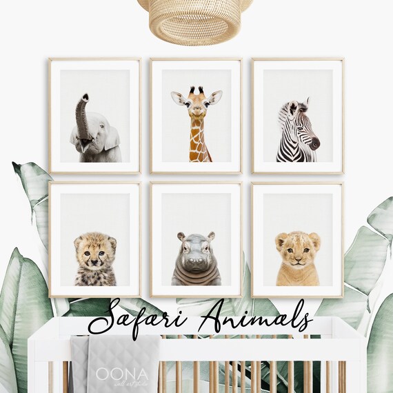 Safari Baby Animal Prints For Nursery Animals Print Set Safari Etsy