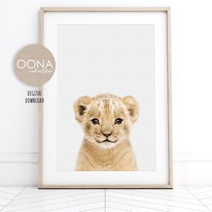 May include: A close-up of a lion cub with a light brown coat and big, brown eyes. The cub is looking directly at the camera with a sweet expression.