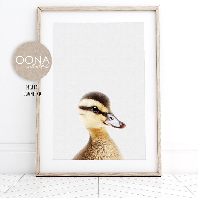 Puede incluir: Un retrato de cerca de un patito con plumas marrones y blancas. El patito tiene un pico amarillo y mira hacia la derecha. El fondo es gris claro.