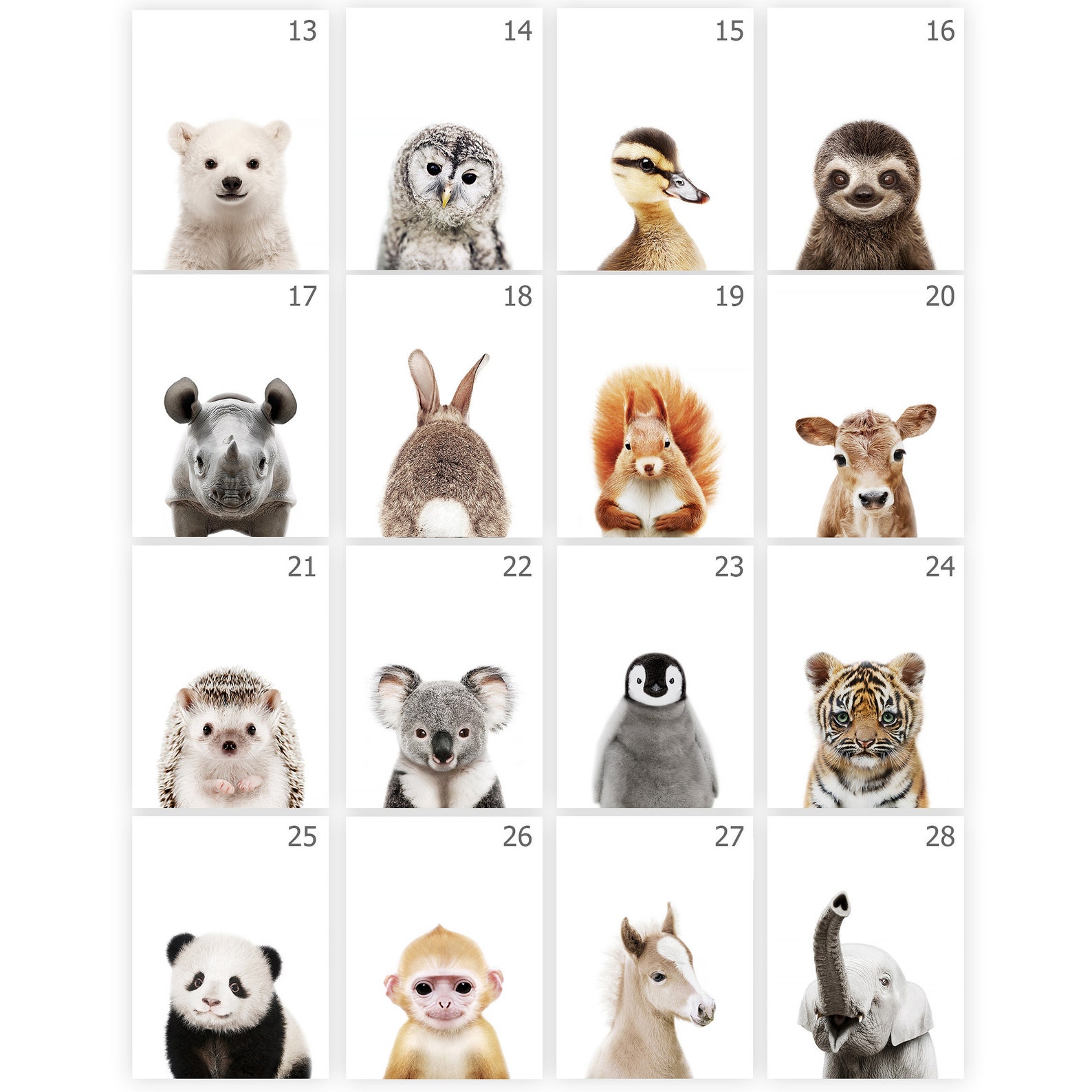 PRINTABLE Baby Animal Prints for Nursery Wall Art Decor Safari - Etsy