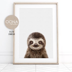 Sloth Print Baby Sloth PRINTABLE Animal Wall Art Jungle Animals Prints Cute Sloth Photo Picture Sloth Nursery Decor Jungle Nursery Poster