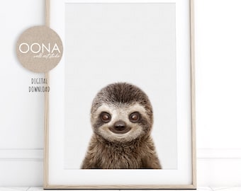 Sloth Print Baby Sloth PRINTABLE Animal Wall Art Jungle Animals Prints Cute Sloth Photo Picture Sloth Nursery Decor Jungle Nursery Poster