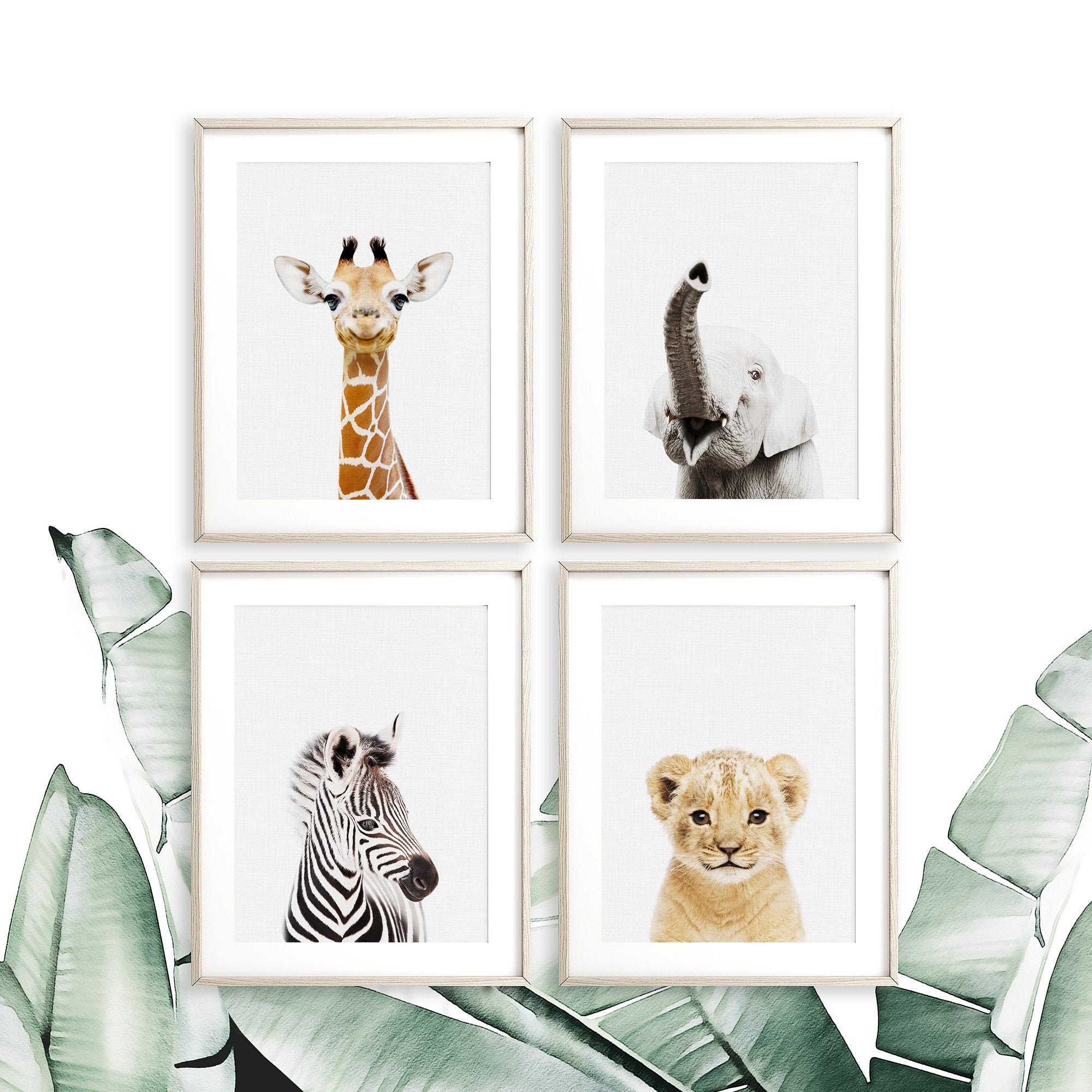 Safari Baby Animal Prints Safari Nursery Art Set of 4 Kids Etsy