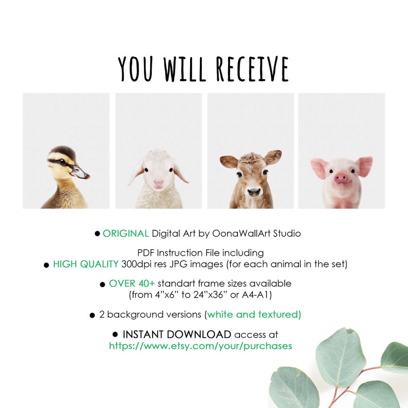 Puede incluir: Conjunto de impresiones de arte digital con cuatro adorables animales beb&eacute;s: un patito, un cordero, un ternero y un lech&oacute;n. Las im&aacute;genes son de alta calidad y est&aacute;n disponibles en una variedad de tama&ntilde;os, con dos opciones de fondo: blanco y texturado. El conjunto incluye un archivo de instrucciones PDF para enmarcar.