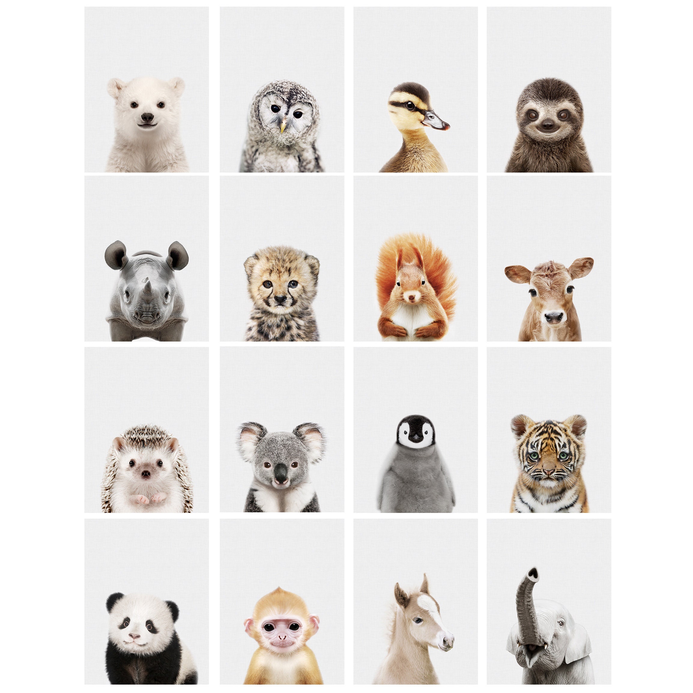 PRINTABLE Baby Animal Prints for Nursery Wall Art Decor Etsy