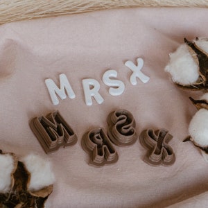 May include: White and brown plastic letters spelling out the word "MRSX" on a pink fabric background with cotton bolls.