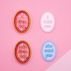 Può includere: Quattro adesivi rotondi, decorativi, di carta con il testo "I said yes", "She said yes" in rosa e blu. Gli adesivi sono su uno sfondo rosa.