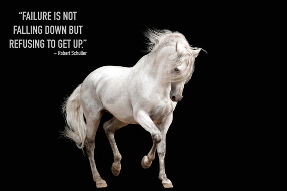 Most Popular Horse Theme Quote Posters - Power Strength Elegant Motivational Quotes Poster Printing - Wall Art Print for Home Office