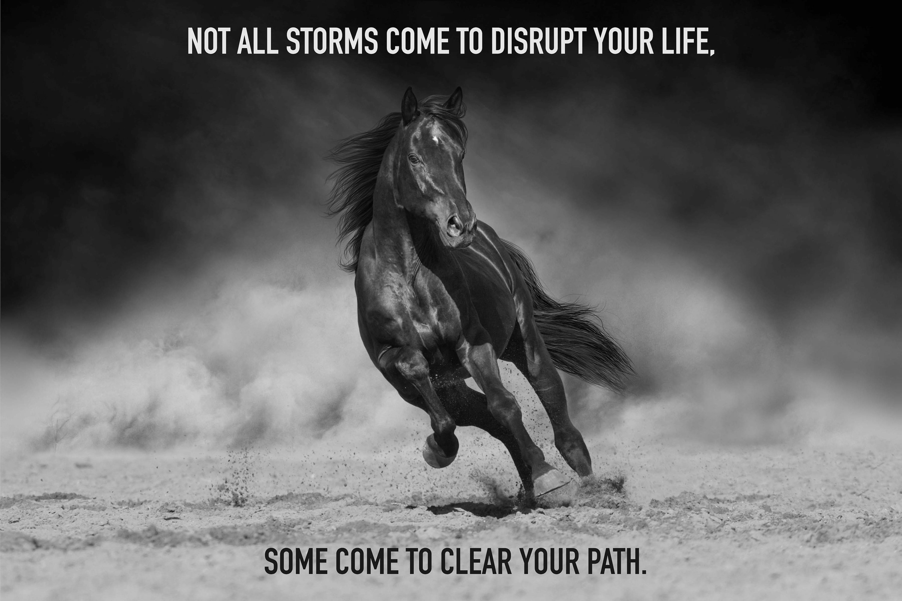 Most Popular Horse Theme Quote Posters - Power Strength Elegant Motivational Quotes Poster Printing - Wall Art Print for Home Office