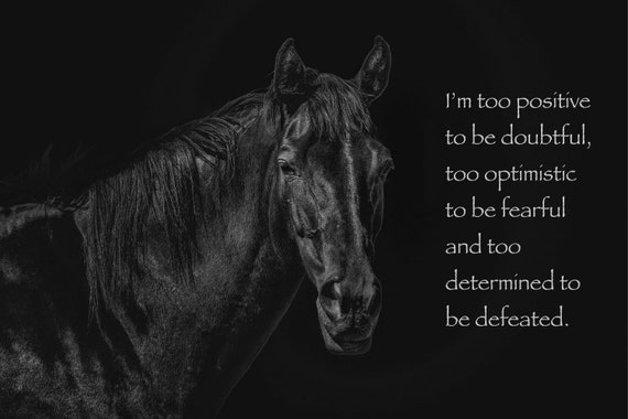 Most Popular Horse Theme Quote Posters - Power Strength Elegant Motivational Quotes Poster Printing - Wall Art Print for Home Office