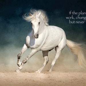 Most Popular Horse Theme Quote Posters - Power Strength Elegant Motivational Quotes Poster Printing - Wall Art Print for Home Office