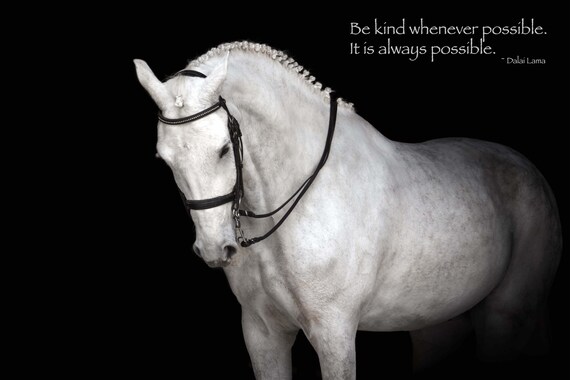 Most Popular Horse Theme Quote Posters - Power Strength Elegant Motivational Quotes Poster Printing - Wall Art Print for Home Office