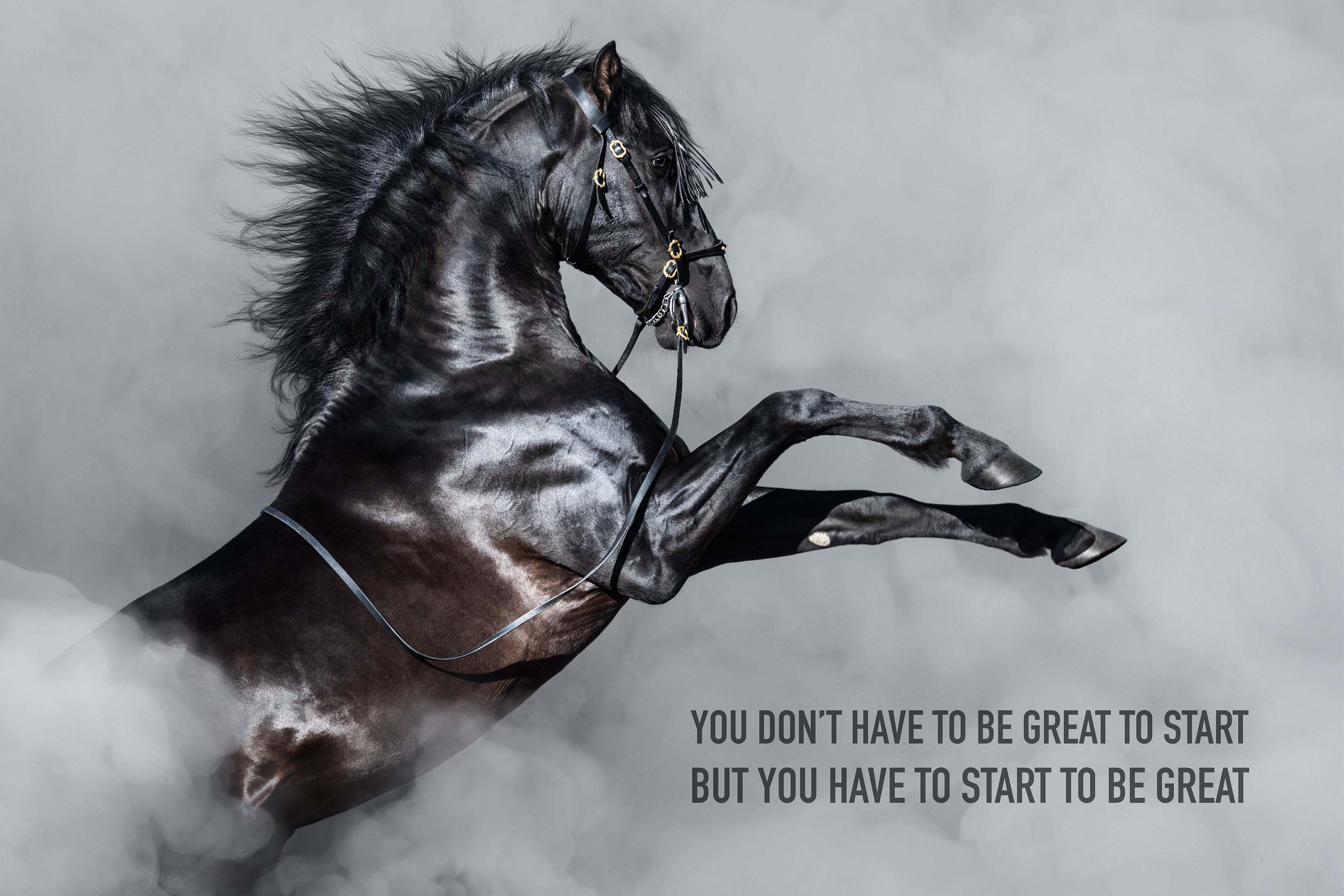 Most Popular Horse Theme Quote Posters - Power Strength Elegant Motivational Quotes Poster Printing - Wall Art Print for Home Office