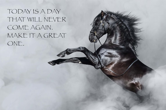 Most Popular Horse Theme Quote Posters - Power Strength Elegant Motivational Quotes Poster Printing - Wall Art Print for Home Office