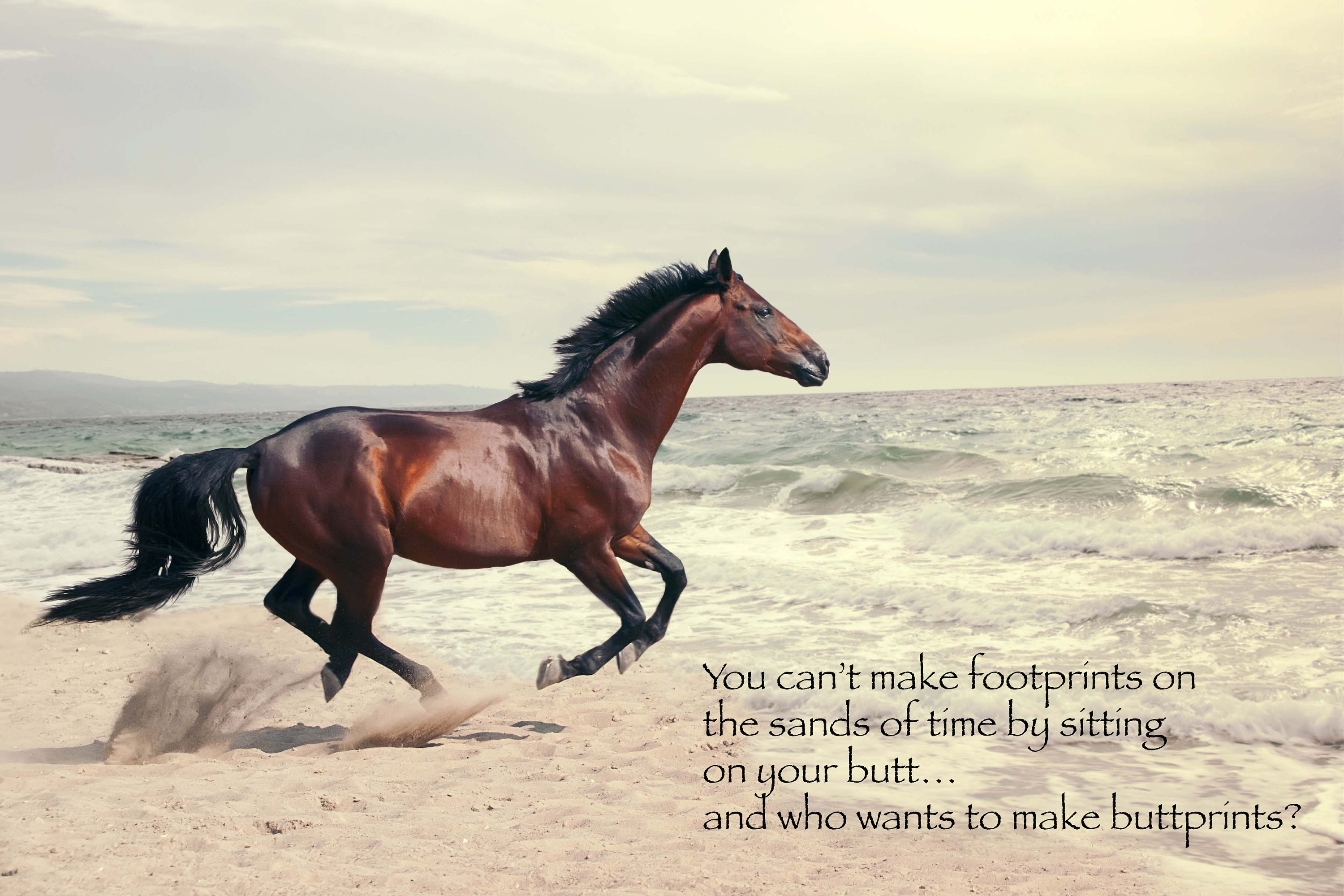 Most Popular Horse Theme Quote Posters - Power Strength Elegant Motivational Quotes Poster Printing - Wall Art Print for Home Office