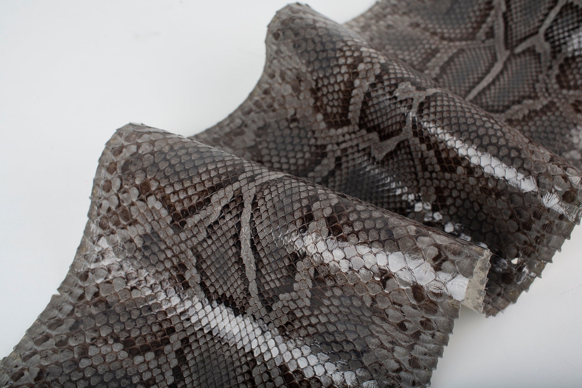 Gray/Black Print ITALIAN genuine SNAKE AYERS (non Cites) leather glossy skin