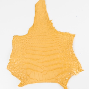 ITALIAN Amarillo genuino genuino reptile cuello cuero (no Cites) restos brillantes (10.3x11.8 in./26x30cm)